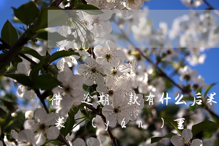 借貸逾期還款有什么后果(貸款逾期有什么后果嚴(yán)重)