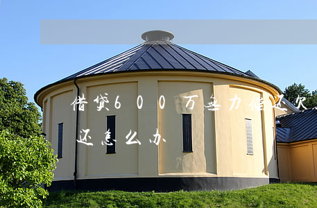 借贷600万无力偿还(欠款600万无力偿还怎么办)