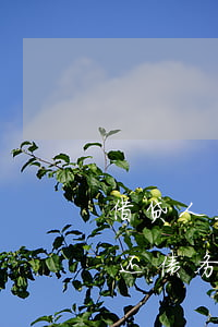 借贷人无力偿还如何起诉(请问借款人无力偿还债务时,债务人应该怎么办?)