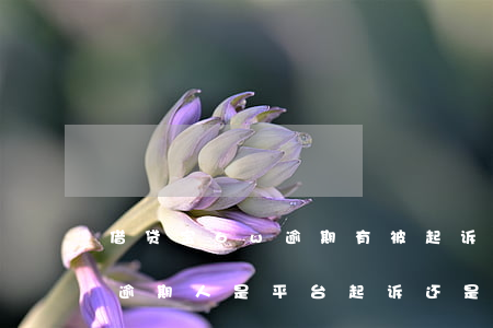 借贷宝6w逾期有被起诉的吗-借贷宝起诉逾期人是平台起诉还是出借人起诉
