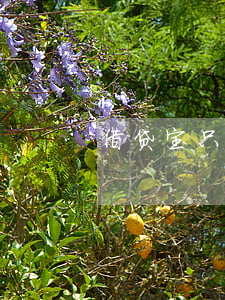 借贷宝只还本金可以么(借贷宝只能借一笔吗)