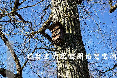 借贷宝清理逾期(借贷宝清理逾期会怎么样)