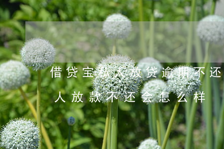 借贷宝私人放贷逾期不还怎么办-借贷宝私人放款不还会怎么样