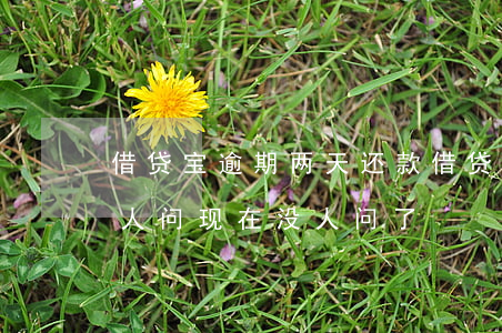 借贷宝逾期两天还款(借贷宝逾期3年开始有人问现在没人问了)