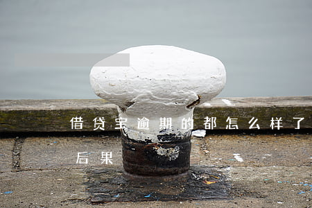 借贷宝逾期的都怎么样了（借贷宝公司逾期的后果）