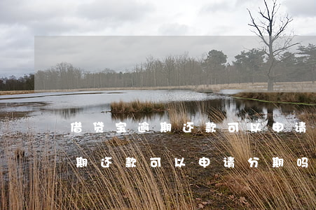 借贷宝逾期还款可以申请分期吗-借贷宝逾期还款可以申请分期吗安全吗