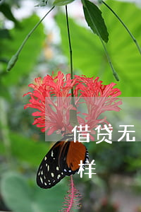 借贷无力偿还的后果-借款无力偿还会怎么样