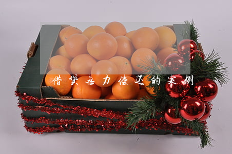 借贷无力偿还的案例