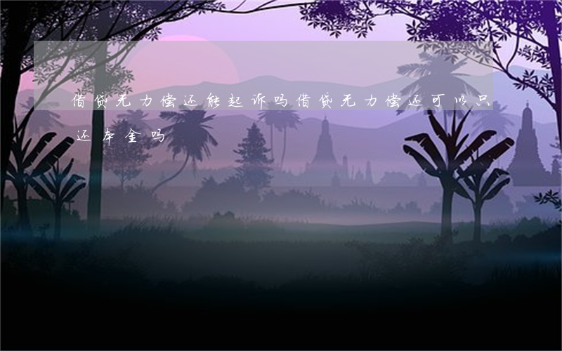 借贷无力偿还能起诉吗(借贷无力偿还可以只还本金吗)