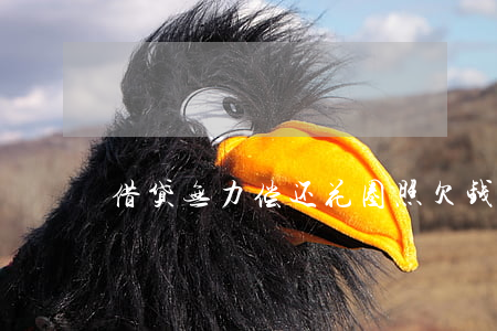 借贷无力偿还花圈照(欠钱送花圈犯法吗)