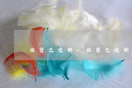 借贷无逾期-借贷无逾期了怎么办