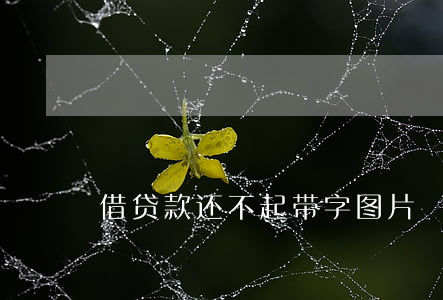 借贷款还不起带字图片