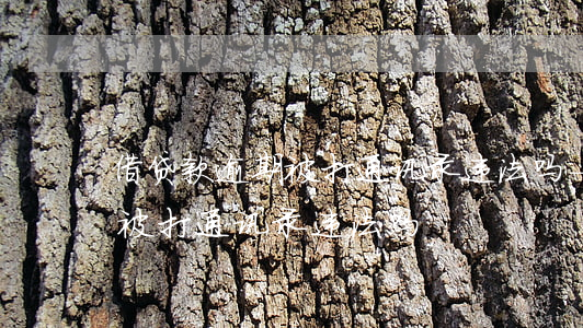 借贷款逾期被打通讯录违法吗-借贷款逾期被打通讯录违法吗