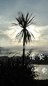 借贷纠纷请律师费用多少钱(起诉借款纠纷,律师费用是多少?)