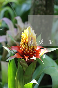 借贷逾期3天会出现的后果(逾期还款3天的后果)