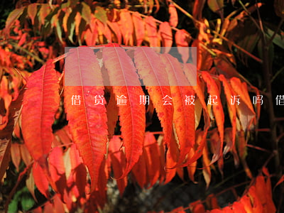借贷逾期会被起诉吗（借贷人逾期了能起诉吗）