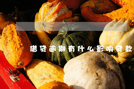 借贷逾期有什么影响(贷款逾期会有哪些影响)