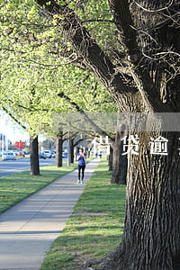 借贷逾期的起诉条件(贷款逾期起诉条件)