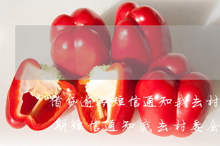 借贷逾期短信通知我去村委会调解-借贷逾期短信通知我去村委会调解怎么办