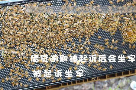 借贷逾期被起诉后会坐牢吗 贷款逾期多久会被起诉坐牢