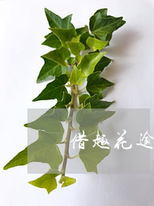 借趣花逾期無法還款(趣花花說我借款了)