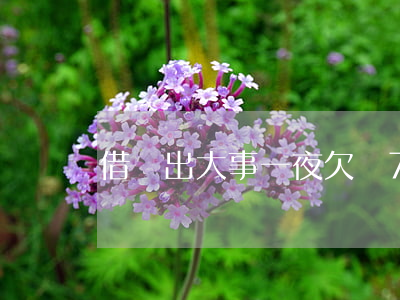 借車出大事，一夜欠債700萬傷不起啊！