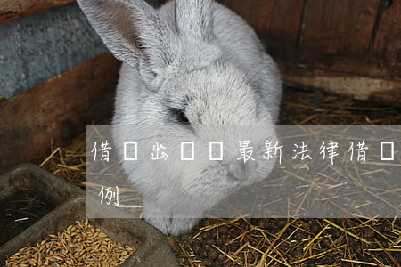 借車出車禍最新法律(借車出車禍最新法律案例)