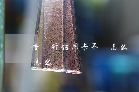 借銀行信用卡不還怎么辦(銀行信用卡還不了怎么辦)