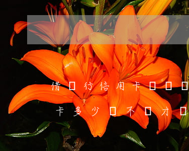 借銀行信用卡幾萬塊真會被起訴嗎-借信用卡多少錢不還才會判刑?