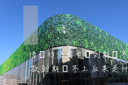 借銀行信用卡錢到期還不上的后果(信用卡借款到期還不上后果是什么)