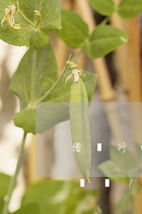借銀行的錢無(wú)力償還會(huì)凍結(jié)子女銀行卡嗎?-借銀行的錢無(wú)力償還會(huì)凍結(jié)子女銀行卡嗎