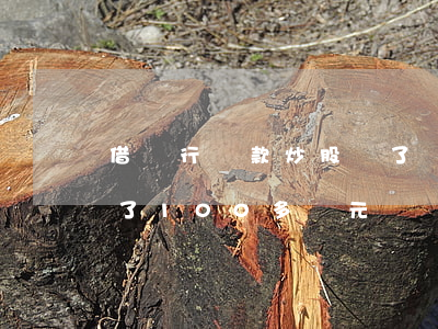 借銀行貸款炒股虧了無力償還-貸款炒股虧了100多萬元