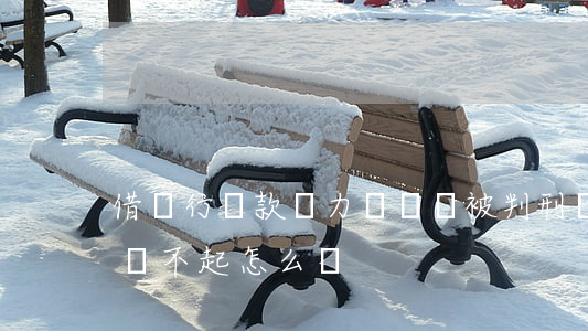 借銀行貸款無力償還會被判刑嗎(借銀行貸款還不起怎么辦)