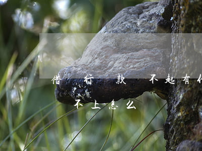 借銀行貸款還不起有什么后果(借銀行的貸款還不上怎么辦)