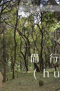 借銀行錢沒錢還怎么辦(借銀行錢無力償還會(huì)坐牢嗎)