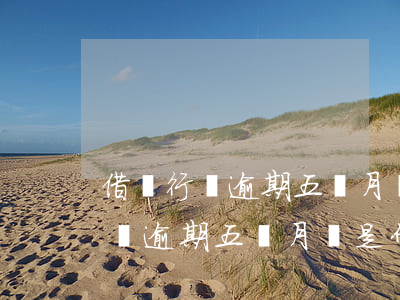 借銀行錢逾期五個月會是什么后果-借銀行錢逾期五個月會是什么后果呢