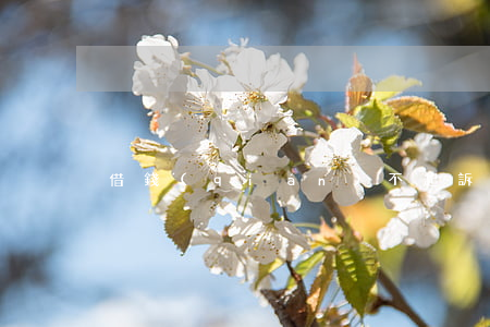 借錢(qián)不起訴怎么處理