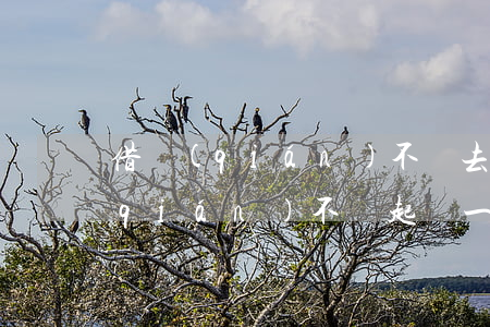 借錢(qián)不還去起訴有用嗎(借錢(qián)不還起訴一定能要回來(lái)嗎)