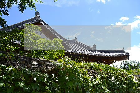 借錢(qián)不還如何起訴范文 借錢(qián)不還,怎樣起訴