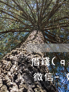 借錢(qián)不還怎么起訴去哪里起訴微信-如何起訴微信借錢(qián)不還的人
