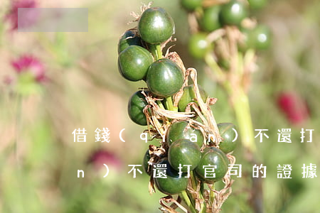 借錢(qián)不還 打官司（借錢(qián)不還打官司的證據(jù)）