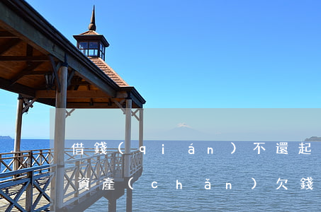 借錢(qián)不還起訴了沒(méi)資產(chǎn)(欠錢(qián)不還沒(méi)有資產(chǎn)起訴后有什么用)