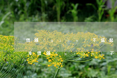 借錢(qián)不還起訴書(shū)樣本(借錢(qián)不還起訴書(shū)范文圖)