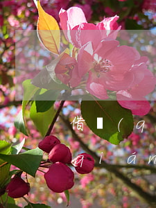 借錢(qián)不還起訴能判刑嗎(借錢(qián)不還起訴能判刑嗎多久)