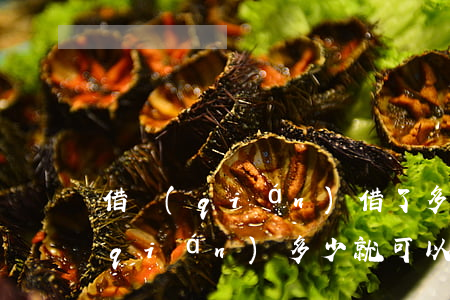 借錢(qián)借了多少可以起訴(借錢(qián)多少就可以起訴了)