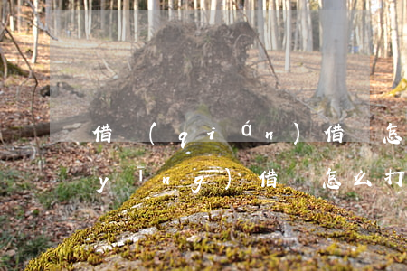 借錢(qián)借條怎么打有法律效應(yīng)(借條怎么打才有法律效應(yīng))