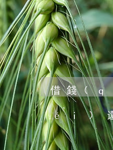 借錢(qián)兩年內(nèi)沒(méi)還訴訟時(shí)效（借錢(qián)不還超過(guò)2年怎么起訴）