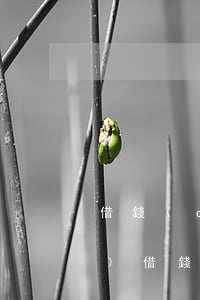 借錢(qián)向法院要什么證據(jù)(借錢(qián)向法院要什么證據(jù)呢)