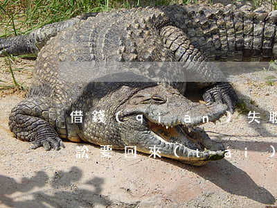 借錢(qián)失聯(lián)法院訴訟要回來(lái)的可能性-借錢(qián)失聯(lián)法院訴訟要回來(lái)的可能性有多大