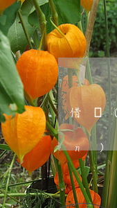 借錢(qián)如何去起訴(借錢(qián)如何去起訴對(duì)方)
